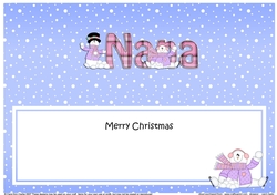 Large DL Merry Christmas NANA insert