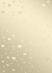 Elegant Romance Matching Vellum