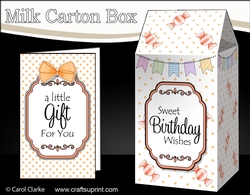 3D Sweet Treats Milk Carton Treat Box Mini Kit