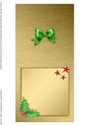 Elegant Christmas Greeting Matching Insert Square Landscape