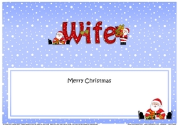 Large DL Merry Christmas WIFE with Santa insert