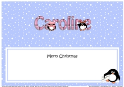 Large DL Merry Christmas CAROLINE insert