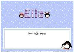 Large DL Merry Christmas ELLA insert