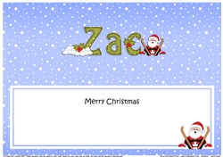 Large DL Merry Christmas ZAC insert
