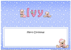 Large DL Merry Christmas IVY insert