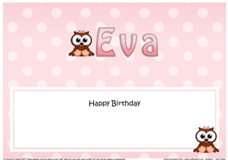 Large DL Happy Birthday EVA insert