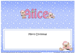 Large DL Merry Christmas ALICE insert