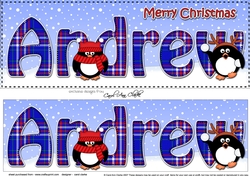 Large DL Merry Christmas ANDREW 3D decoupage
