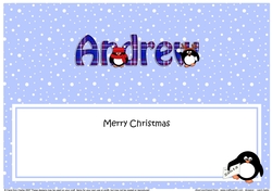 Large DL Merry Christmas ANDREW insert