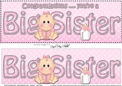 Large DL New Baby Congratulations you are a ... BIG SISTER 3D decoupage