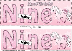 Large DL Happy Birthday NINE TODAY 3D decoupage