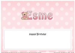 Large DL Happy Birthday ESME insert