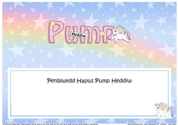 Large DL Welsh PENBLWYDD HAPUS PUMP HEDDIW (Happy Birthday five today) insert