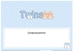 Large DL CONGRATULATIONS ... ON YOUR BEAUTIFUL TWINS insert