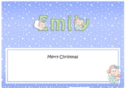 Large DL Merry Christmas EMILY insert