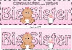 Large DL Ethnic New Baby Congratulations you are a ... BIG SISTER 3D decoupage