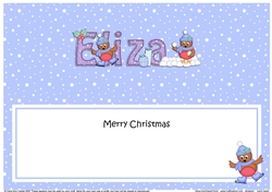 Large DL Merry Christmas ELIZA insert