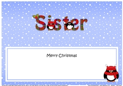Large DL Merry Christmas SISTER insert with Tartan Penguins