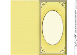 Dl 'silver Metallic Frame' Card Front or Insert