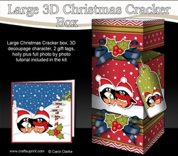 3D Large Christmas Cracker Box - Pip Penguins are in Love