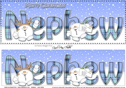Large DL Merry Christmas NEPHEW 3D decoupage with Tartan Snowball Sam