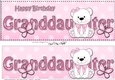 Large DL Happy Birthday GRANDDAUGHTER 3D decoupage with Livvy Bear