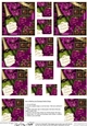 Husband Anniversary Champers, Chocs & Roses Pyramage sheet