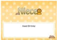 Large DL Happy Birthday NIECE insert with Cute Lion