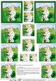 Old Man Bert - Pyramage sheet