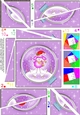 Cute Christmas Poodle - Twisted Spiral Side Stacker