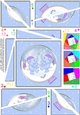 Cute Christmas Elephants - Twisted Spiral Side Stacker
