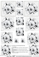 Posy and Pearls - Twisted Pyramage sheet