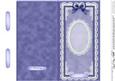 Dl Pearls, Lace and Ribbon Plain Card Base