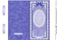 Dl Pearls, Lace and Ribbon Plain Card Base