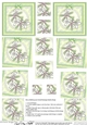 Dreamy Dragonflies - Twisted Pyramage sheet
