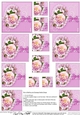 A Touch of Elegance Flowers, Pearls and Lace Pyramage sheet