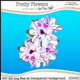 Pretty Flowers - CU4CU Digital Clip Art Set