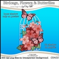 Birdcage, Flowers & Butterflies - CU4CU Digital Clip Art Set