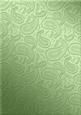 Metallic Paisley Embossed Backing Paper