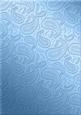 Metallic Paisley Embossed Backing Paper