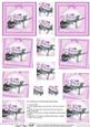 Flower Filled Wheelbarrow Twisted Pyramage Sheet