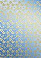 Gold Metallic Flowers Matching Backing Paper