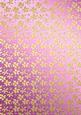Gold Metallic Flowers Matching Backing Paper