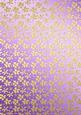 Gold Metallic Flowers Matching Backing Paper