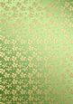 Gold Metallic Flowers Matching Backing Paper