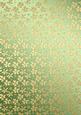 Gold Metallic Flowers Matching Backing Paper