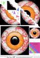 Spooky Eyes Scallop Corner Side Stacker Topper