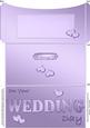 Elegant Wedding Money or Gift Wallet and Card