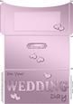 Elegant Wedding Money or Gift Wallet and Card