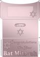 Bat Mitzvah Money or Gift Wallet and Card